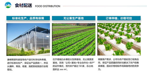 花都区食堂蔬菜配送公司哪家好在线咨询 康峰食品好口碑