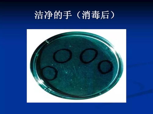 食品加工厂新工人入厂培训