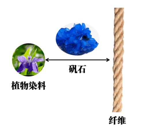 科普 天然的 草木染色 并没有想象中的美好